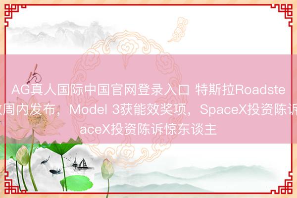AG真人国际中国官网登录入口 特斯拉Roadster或将于数周内发布，Model 3获能效奖项，SpaceX投资陈诉惊东谈主