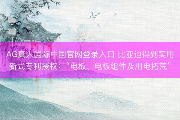 AG真人国际中国官网登录入口 比亚迪得到实用新式专利授权：“电板、电板组件及用电拓荒”