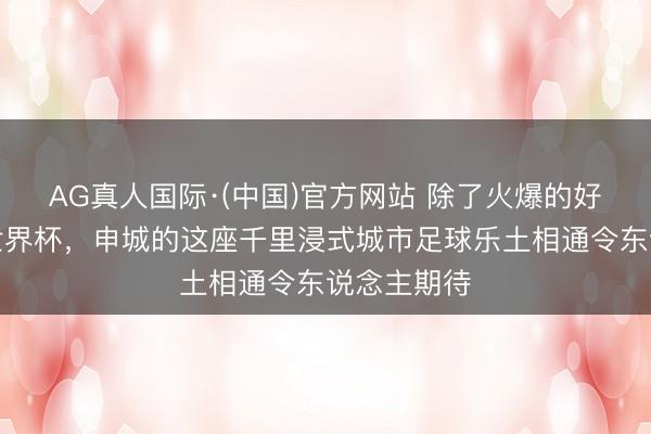 AG真人国际·(中国)官方网站 除了火爆的好意思加墨世界杯，申城的这座千里浸式城市足球乐土相通令东说念主期待